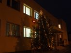 Foto - Vánoční strom, Děhylov
